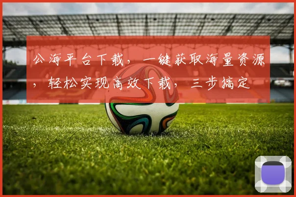 公海平台下载，一键获取海量资源，轻松实现高效下载，三步搞定