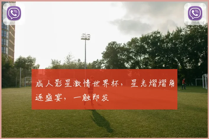成人影星激情世界杯，星光熠熠角逐盛宴，一触即发
